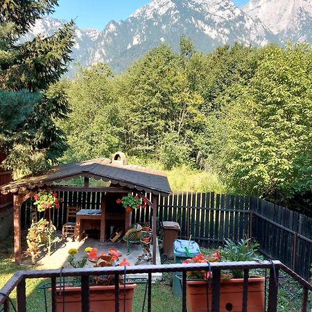 B House Буштені Екстер'єр фото