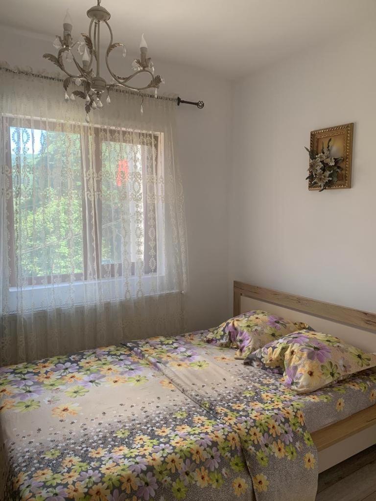 B House Буштені Екстер'єр фото